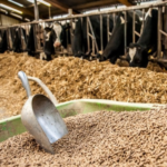 "Farmer feeding livestock in a barn with high-quality animal feed."